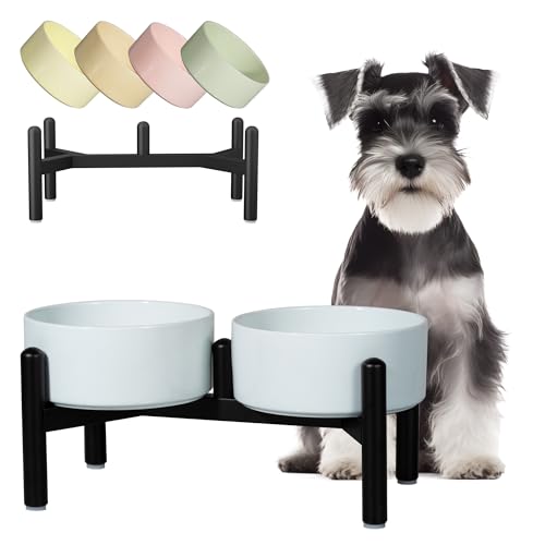 Ceramic Elevated Dog Bowl Set (Blue / 3.5 Cups)