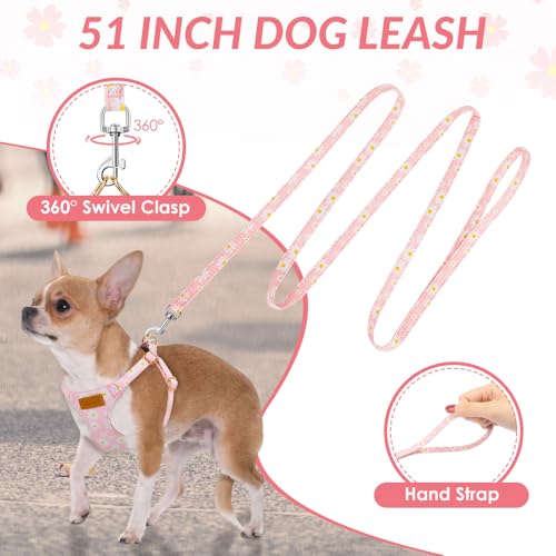No Pull Dog Harness with Leash for Small Medium Dogs (X-Small(6-11lb) / Pink Daisy)