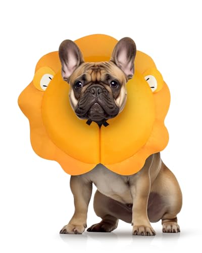 Inflatable Dog Cone (Lion / M+(14"-18"))