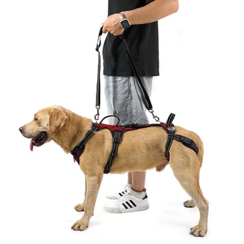 Mobility Dog Lift Harness (Red / L)