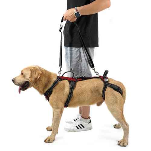 Mobility Dog Lift Harness (Red / XXL)