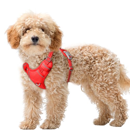 Dog Harness for Small Sized Dog No Pull Dog Vest ID Tag Pocket (Red / X-Small)
