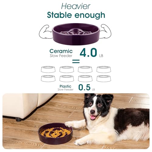 Slow Feeder Dog Bowl (L - 3 Cups / Dark Purple)