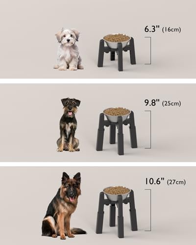 Elevated Dog Bowl (H: 6.3-10.6''; W: 6.1-10.4'')