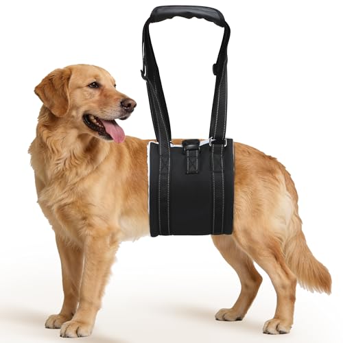Dog Sling Adjustable Dog Lift Harness for Rear Legs (Large)