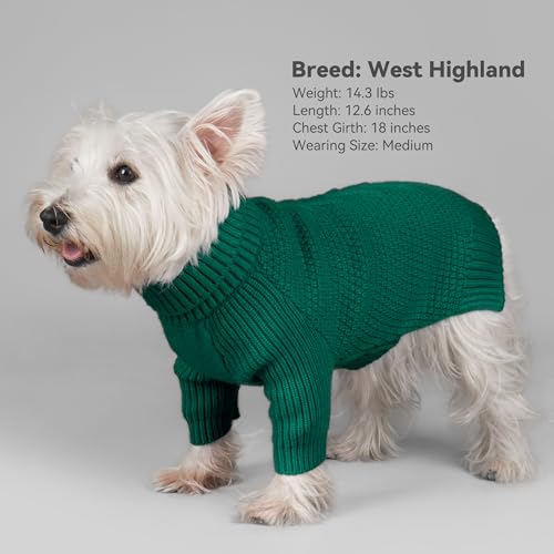 Dog Sweater Long Sleeve Warm Knit Sweaters for Small Dogs Boy Girl (Green / Large)