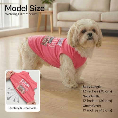 2 Pack Dog Shirts (M(8-12lbs))