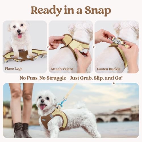 Dog Harness Medium Sized and Leash Set (Brown & Beige / M (chest: 16 - 18.5"))