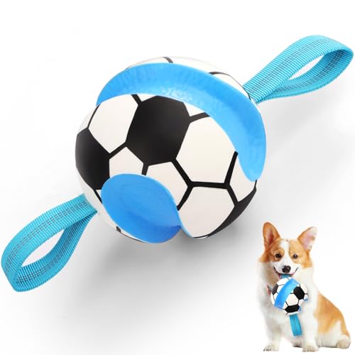 Dog Toys Balls (Blue White)