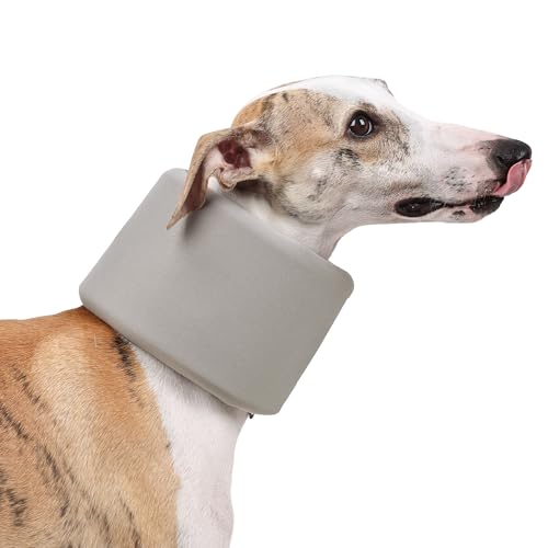 Dog Neck Brace for Pet After Surgery Recovery Adjustable Breathable Neck Cervical Cone (Gray / XL)