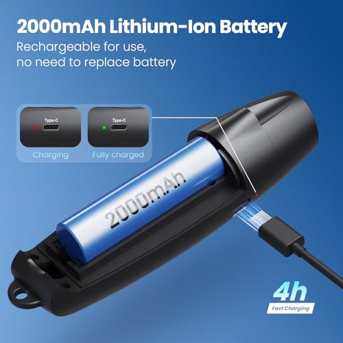 Electronic Whistle with USB Charging (black)