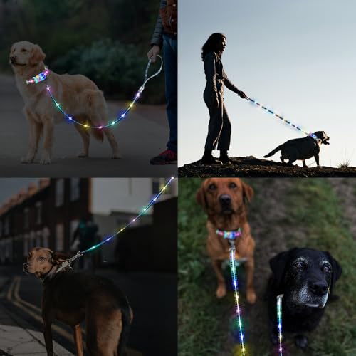 Light up Dog Leash USB Rechargeable for Small Medium Large Dogs (Bohemian purple / L59in/W1in)