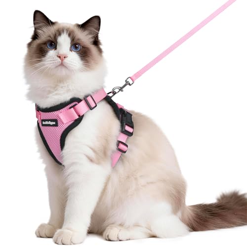 Cat Harness and Leash Set (M / Pink)