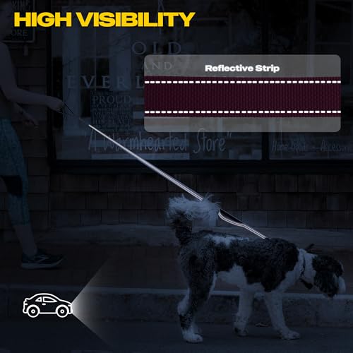 10 FT Heavy Duty Dog Leash (10 Feet (Pack of 1) / Rose)