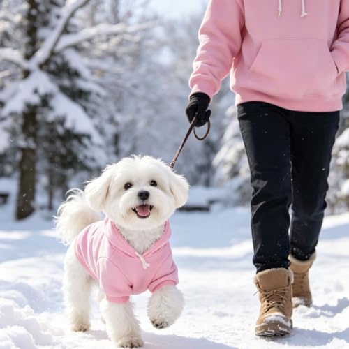 Princess Dog Hoodie (M (Back: 16",Chest: 22", Neck: 19") / Pink(Prinecss))