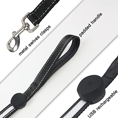 USB Rechargeable LED Dog Leash