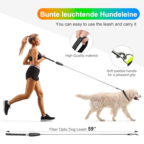 Light Up Dog Leash (Colorful / 5 feet)