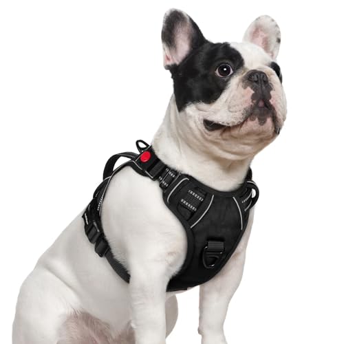 Large Dog Harness (Small / Black)