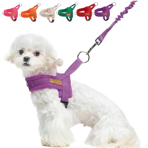 Small Dog Harness and Leash Set (Purple / XS: Chest 15"-18")