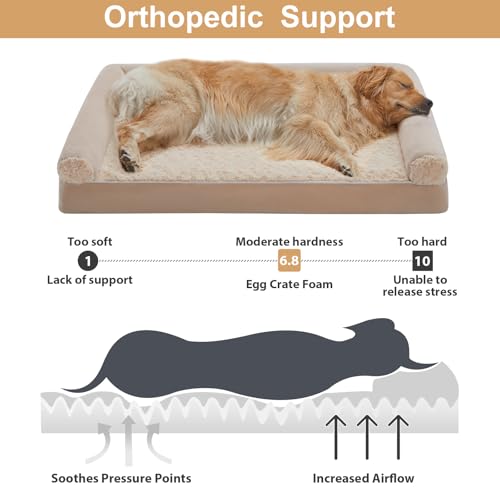 Orthopedic Washable XXL Dog Bed for Senior Dog Cozy Sleep (48"l x 35"w x 7"th / Beige)
