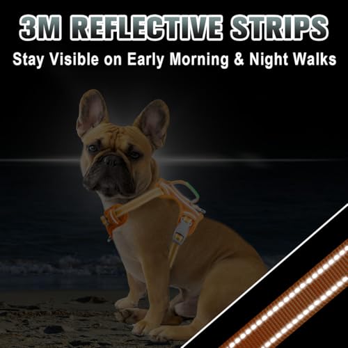 Dog Harness for Small Sized Dog No Pull Dog Vest ID Tag Pocket (Orange / X-Small)