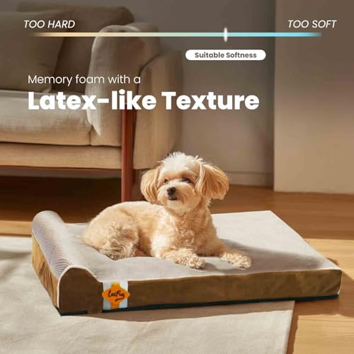 Orthopedic Dog Beds for Large Dogs (34.0"L x 22.0"W x 5.5"Th / Brown)