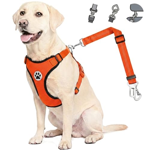 Dog Car Harness Seat Belt (Medium / ·Orange)