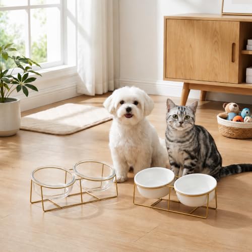 Elevated Dog Bowls for Small Dogs (Small / White×2)