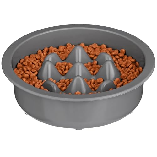 The Niner Slow Feed Bowl (Gunmetal Grey / 2 Cup)