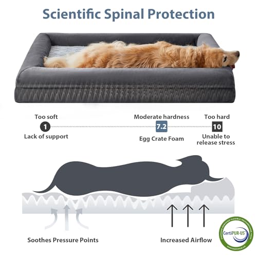 XXL Extra Large Orthopedic for Senior Dog BedComfy Sleeping (Dark Gery / XX-L (45x35x7in))