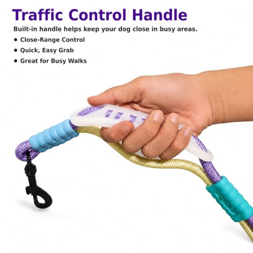 Hands Free Dog Leash (Purple green / 6.5 FT)