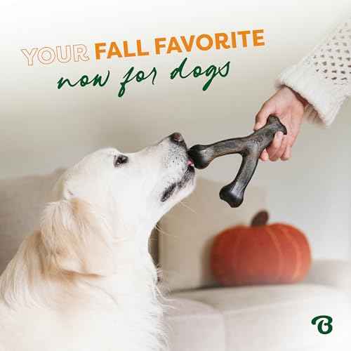 Wishbone Chew Toy for Aggressive Chewers (Medium)