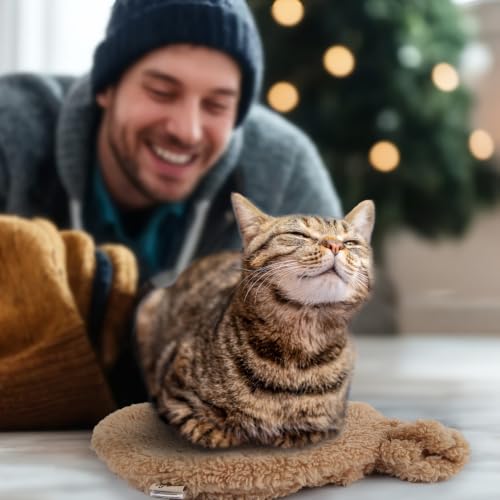 Heated Cat Bed Indoor (Heated Cat Bed Mat)