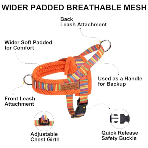 Small Dog Harness and Leash Set (Mix Orange / S: Chest 17.5"-22")