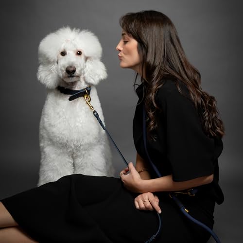 Hands Free Dog Leash (Dark Blue)