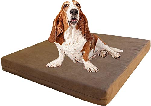 Orthopedic Memory Foam Dog Bed with Brown Suede Cover (41X27X4 Inch Large / MicroSuede in Brown)