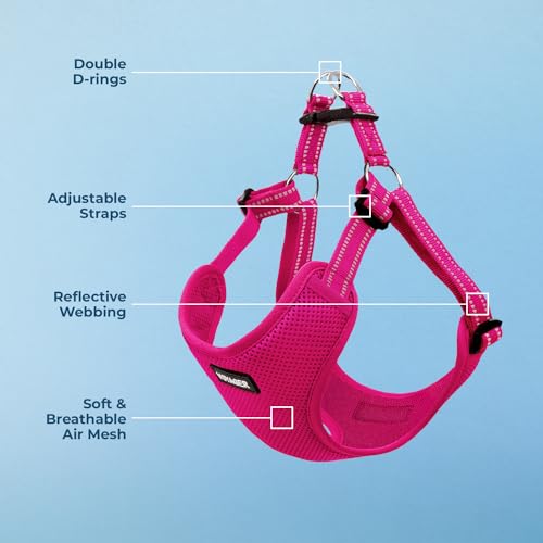 Voyager Step in Flex Adjustable Dog Harness (Harness (Fuchsia) / M)