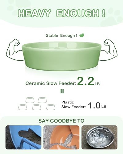 Ceramic Slow Feeder Dog Bowls (M-1.5 Cups / 04-Green)