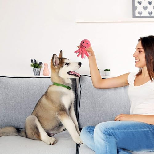 Squeaky Plush Dog Toy Pack for Puppy (12 Pack)