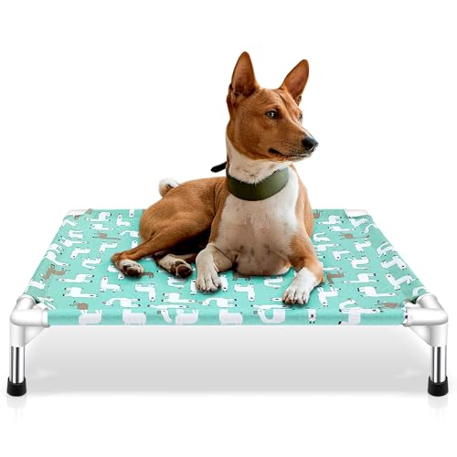 Elevated Dog Bed Pet cot (Medium)