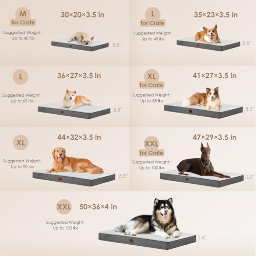 Orthopedic Dog Bed Large with Removable Washable Cover (44*32*3.5 inches / Beige)