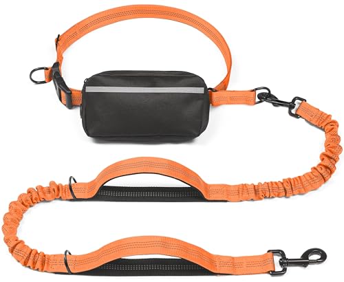 Hands Free Dog Leash with Zipper Pouch (Orange / Large)