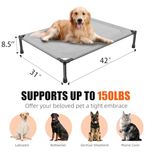 Raised Dog Bed for Large Dogs (42"L x 31"W x 8.5"Th / Grey)