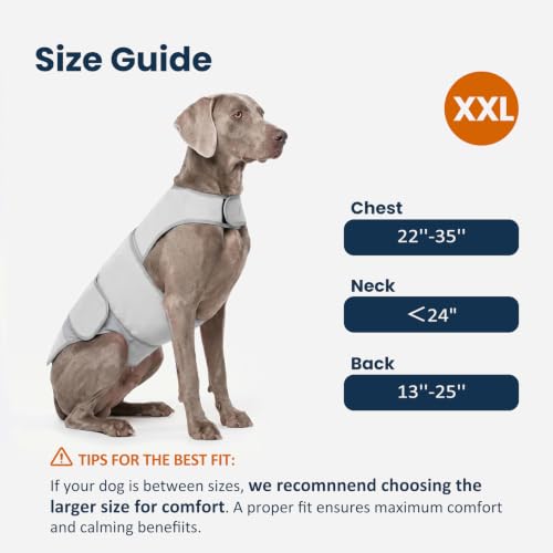 Dog Anxiety Relief Calming Vest (Grey / XXL)