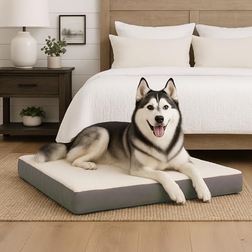 Orthopedic Dog Bed (Gray / X-Large)