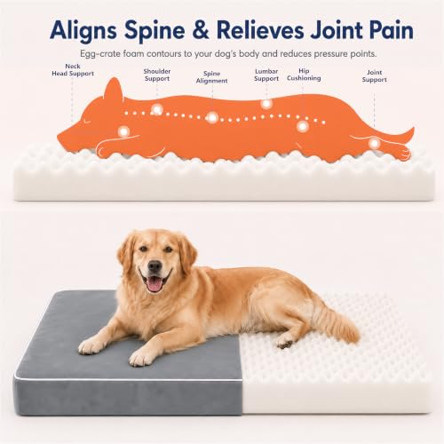 Orthopedic Dog Mat (Grey / L (36*27*3))