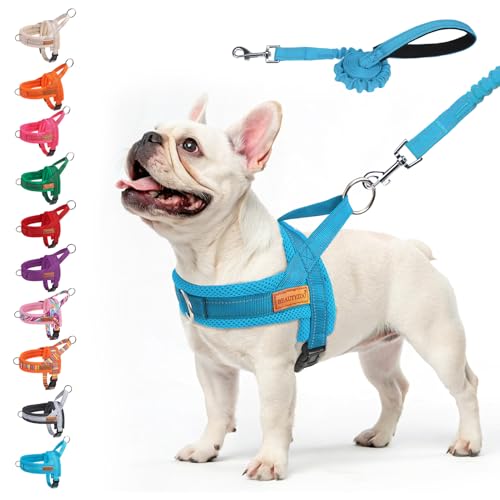 Dog Harness Medium Sized and Leash Set (Blue / M: Chest 21"-26.7")