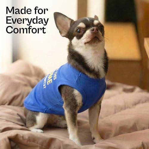 Dog T-Shirt - Embroidered “ Awesome “ Dog Shirt - Pure Cotton and Lightweight Pet Clothes - Blue Sleeveless Pet Tee Shirts - Cute Puppy Clothes - Shirts for Small Dogs Boy - XS (XS)