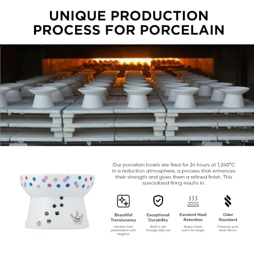 Necoichi Ceramic Raised Cat Food Bowl (Colorful Dots / Regular)