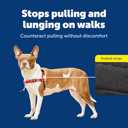 Deluxe Easy Walk Harness (Medium / Rose Red)